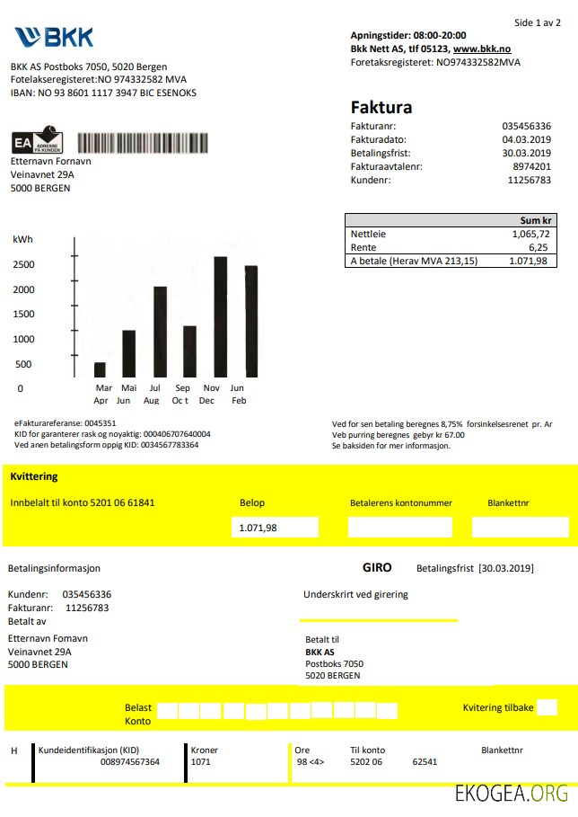 Norway BKK electricity utility bill template in Word and PDF format, good for address prove